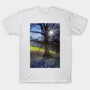 Crocus Sun T-Shirt